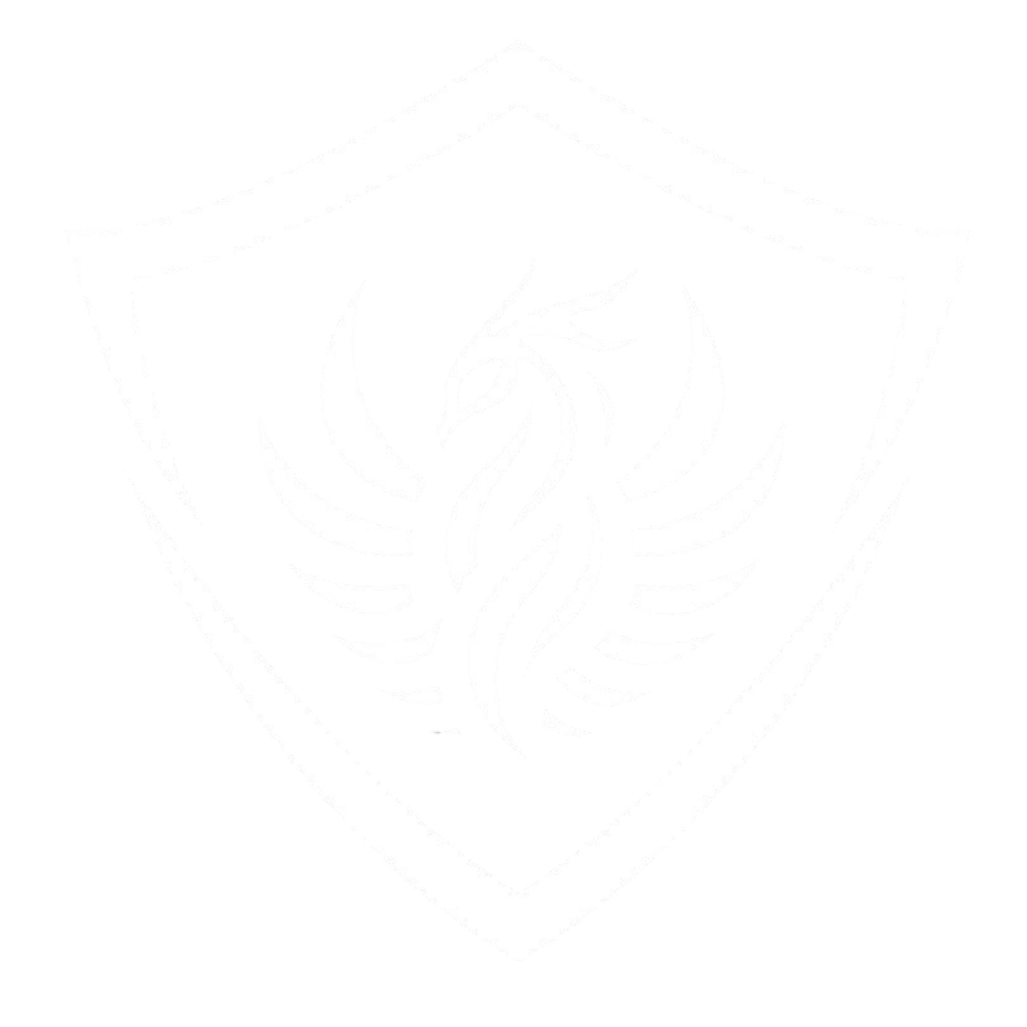 Altay Takımı logosu
